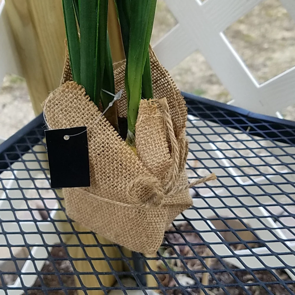 Spring flower's & Vase - Picture 5 of 5